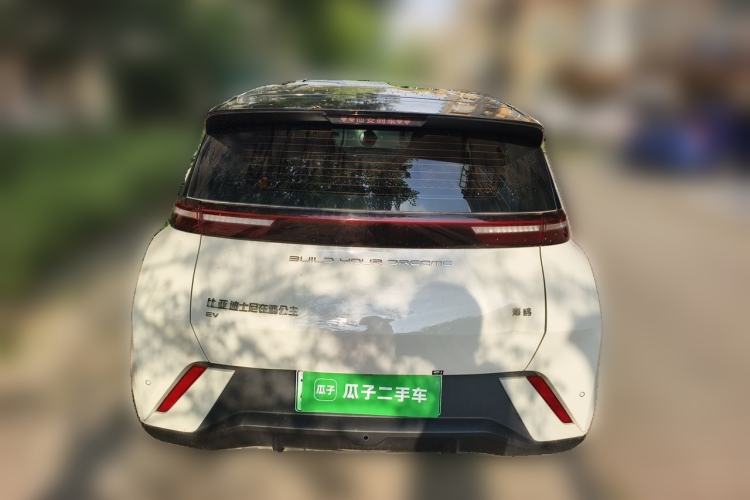 Used BYD Seagull 2024 Honor Edition 305km Dynamic Version Rear