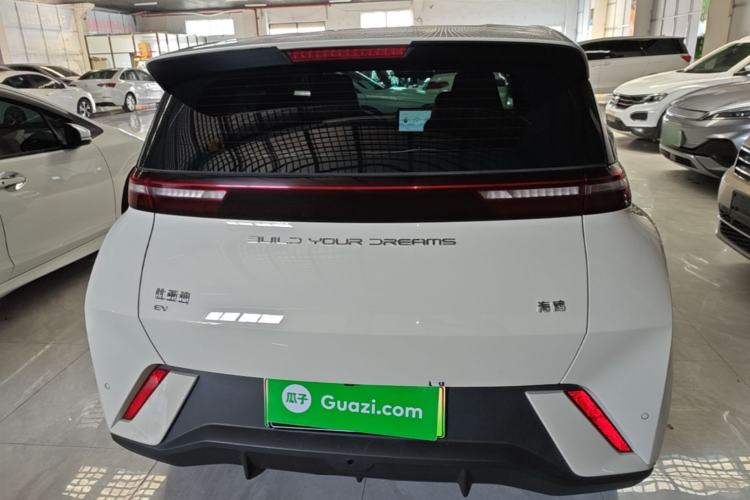 Used BYD Seagull 2024 Honor Edition 305km Dynamic Version Rear