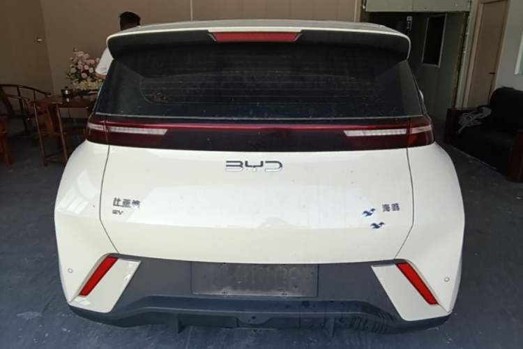 Used BYD Seagull 2024 Honor Edition 305km Dynamic Version Rear