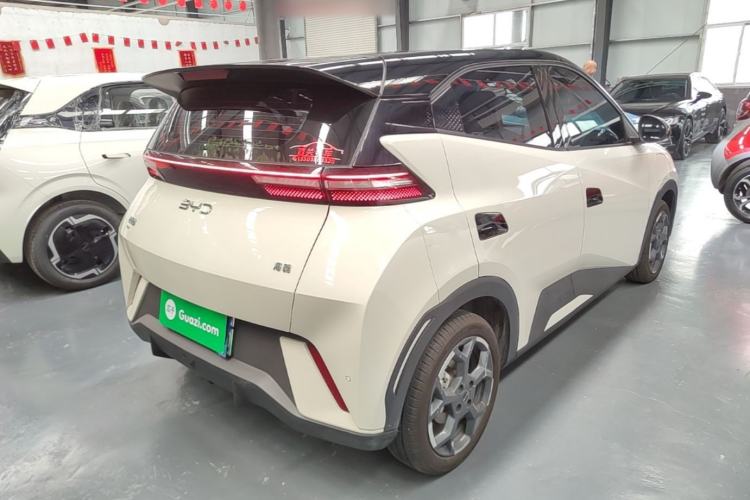 Used BYD Seagull 2024 Honor Edition 305km Freedom Version Rear Right 45 Deg