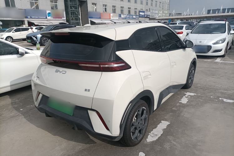 Used BYD Seagull 2024 Honor Edition 305km Freedom Version Rear Right 45 Deg