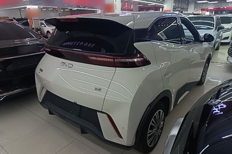 Used BYD Seagull 2024 Honor Edition 305km Freedom Version Rear Right 45 Deg