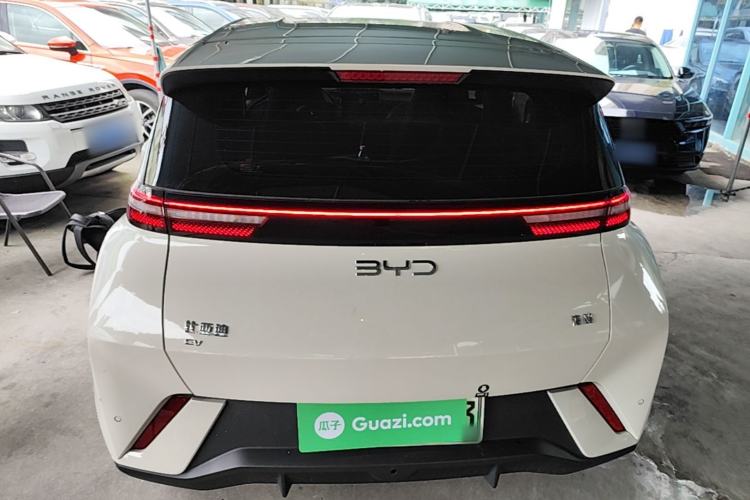 Used BYD Seagull 2024 Honor Edition 305km Dynamic Version Rear