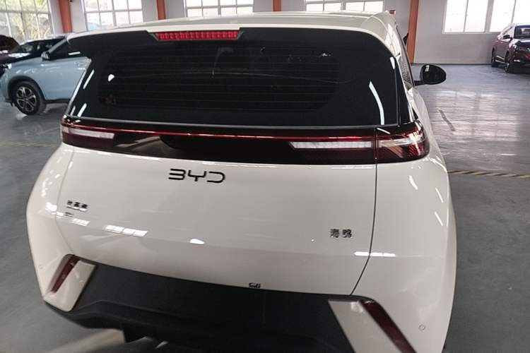 Used BYD Seagull 2024 Honor Edition 305km Dynamic Version Rear