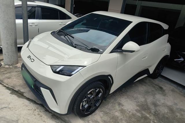 Used BYD Seagull 2024 Honor Edition 305km Freedom Version