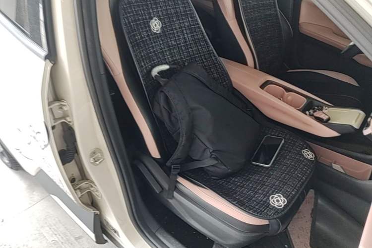 Used BYD Seagull 2024 Honor Edition 305km Freedom Version Right Front Seat
