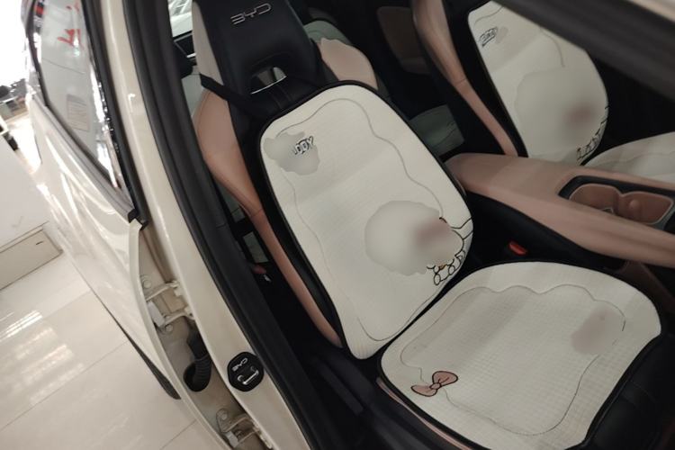 Used BYD Seagull 2024 Honor Edition 305km Dynamic Version Right Front Seat