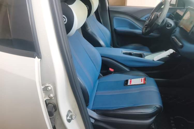Used BYD Seagull 2024 Honor Edition 305km Dynamic Version Right Front Seat