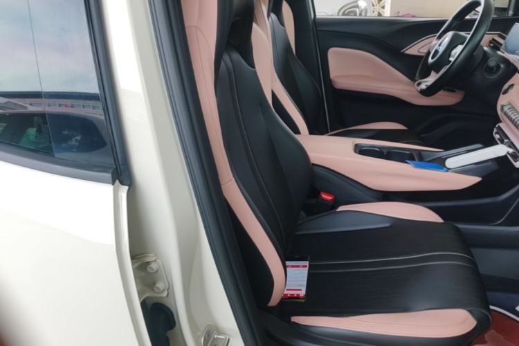 Used BYD Seagull 2024 Honor Edition 305km Freedom Version Right Front Seat