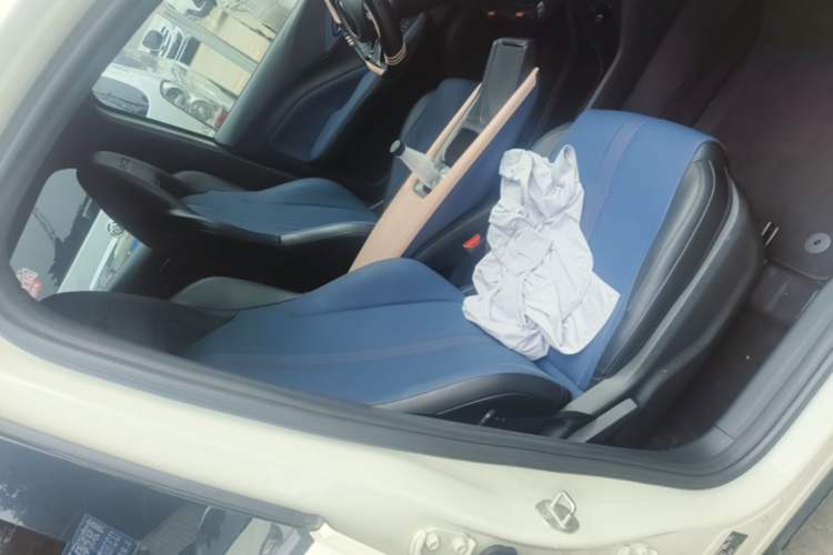 Used BYD Seagull 2024 Honor Edition 305km Dynamic Version Right Front Seat