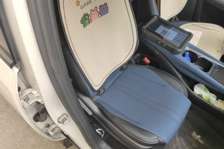Used BYD Seagull 2024 Honor Edition 305km Dynamic Version Right Front Seat