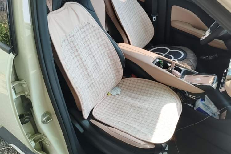 Used BYD Seagull 2024 Honor Edition 305km Dynamic Version Right Front Seat