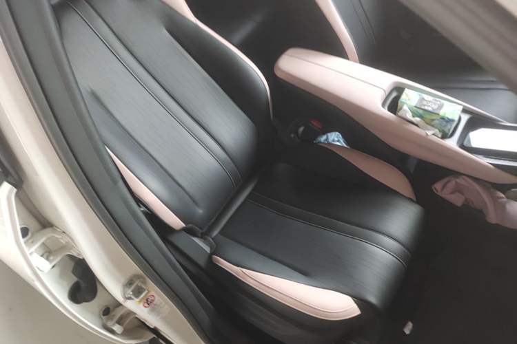 Used BYD Seagull 2024 Honor Edition 405km Flying Version Right Front Seat