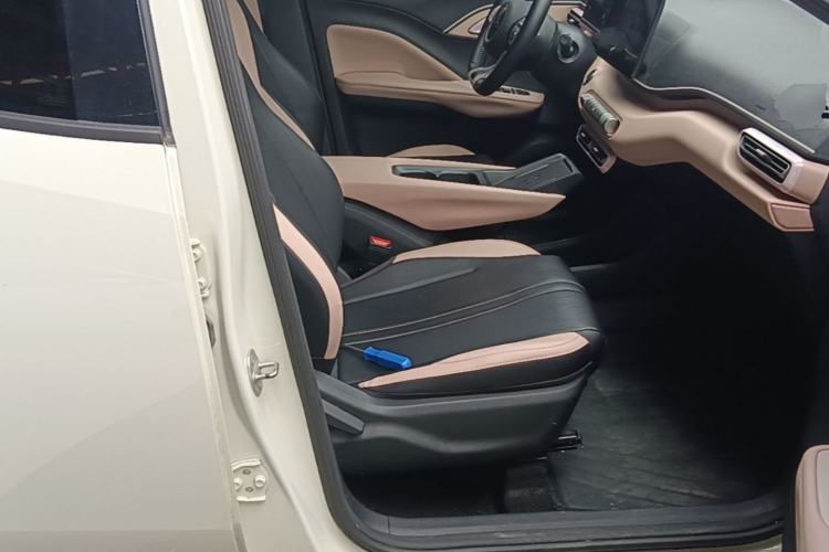 Used BYD Seagull 2024 Honor Edition 305km Freedom Version Right Front Seat