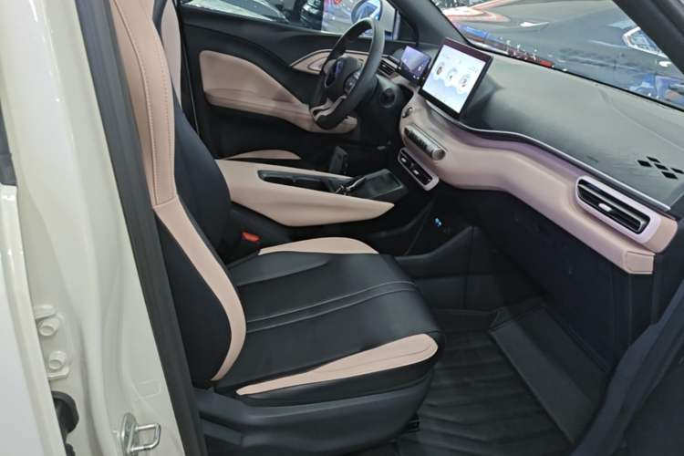 Used BYD Seagull 2024 Honor Edition 305km Dynamic Version Right Front Seat