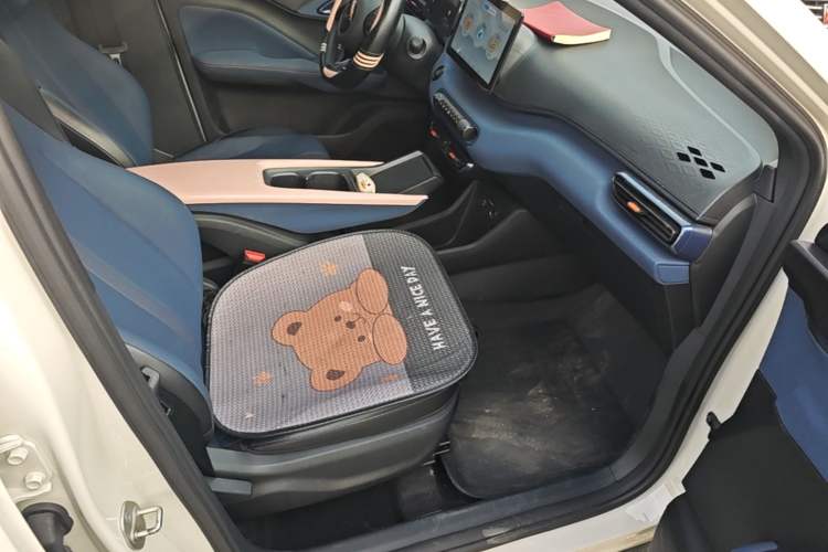 Used BYD Seagull 2024 Honor Edition 305km Dynamic Version Right Front Seat