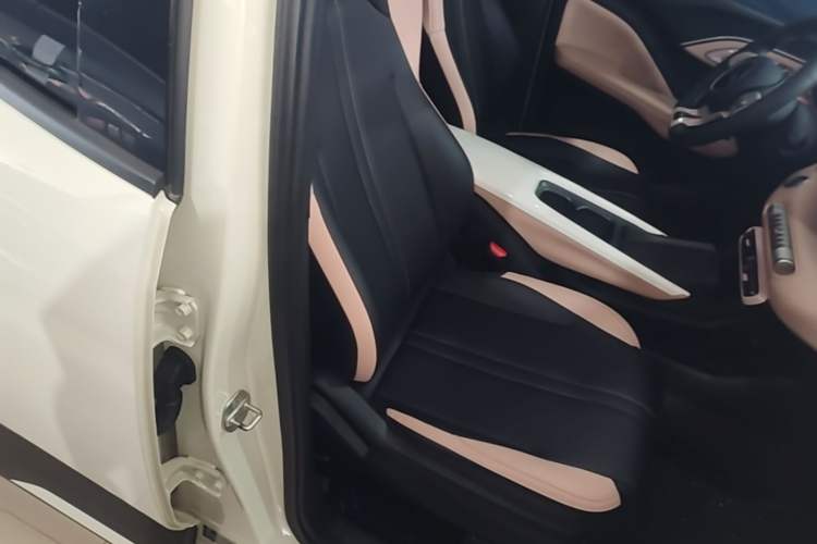 Used BYD Seagull 2024 Honor Edition 305km Dynamic Version Right Front Seat