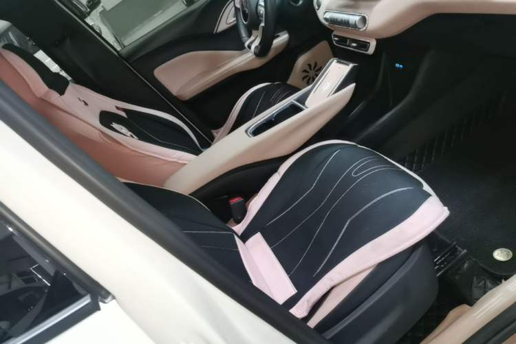 Used BYD Seagull 2024 Honor Edition 305km Freedom Version Right Front Seat