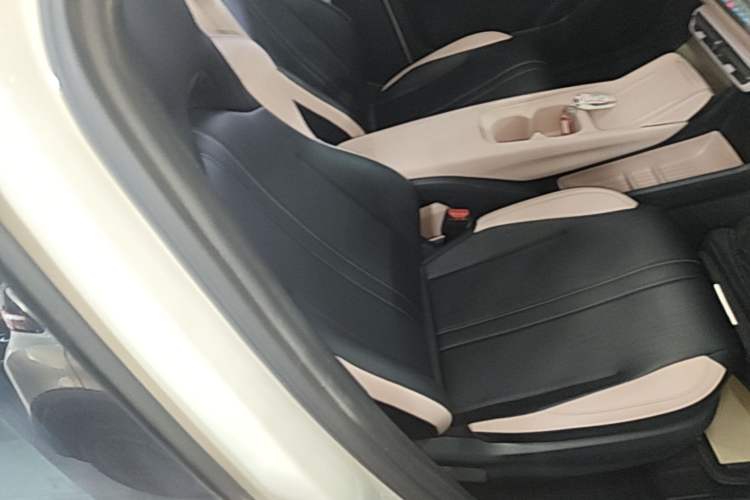 Used BYD Seagull 2024 Honor Edition 305km Dynamic Version Right Front Seat