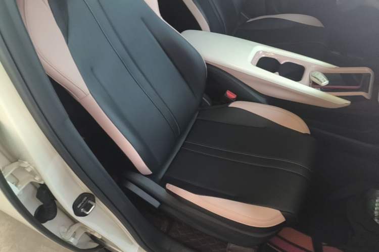 Used BYD Seagull 2024 Honor Edition 305km Dynamic Version Right Front Seat
