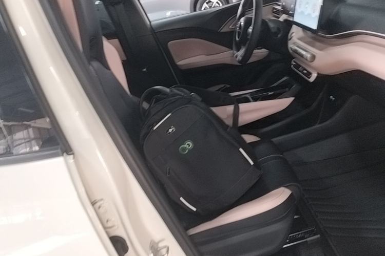 Used BYD Seagull 2024 Honor Edition 305km Dynamic Version Right Front Seat
