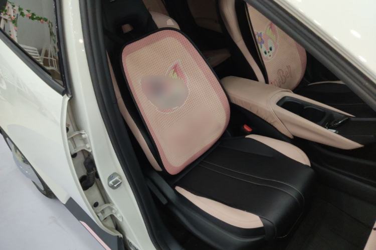 Used BYD Seagull 2024 Honor Edition 305km Dynamic Version Right Front Seat