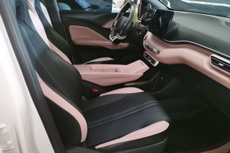 Used BYD Seagull 2024 Honor Edition 305km Dynamic Version Right Front Seat