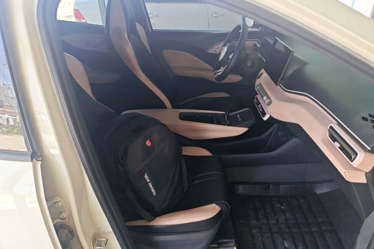 Used BYD Seagull 2024 Honor Edition 305km Dynamic Version Right Front Seat