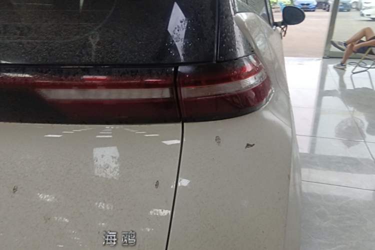 Used BYD Seagull 2024 Honor Edition 305km Dynamic Version Right Rear Taillight