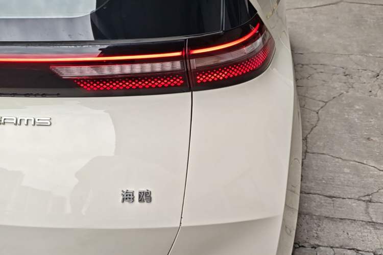 Used BYD Seagull 2024 Honor Edition 305km Dynamic Version Right Rear Taillight