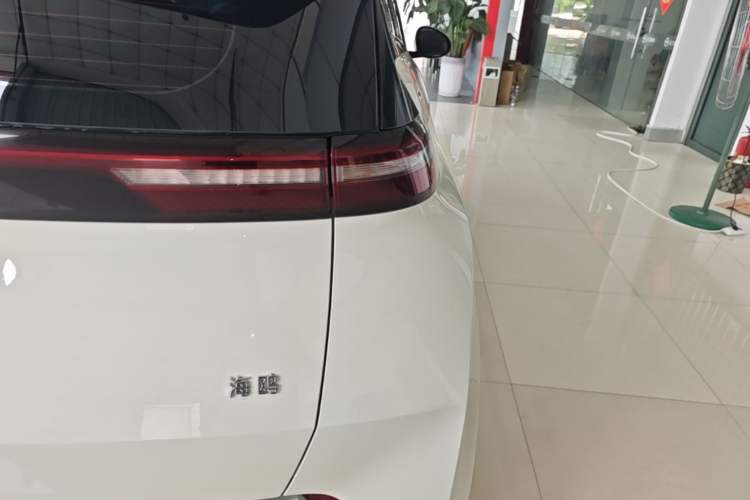 Used BYD Seagull 2024 Honor Edition 305km Dynamic Version Right Rear Taillight