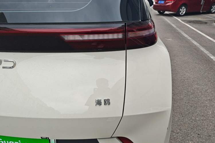 Used BYD Seagull 2024 Honor Edition 305km Freedom Version Right Rear Taillight