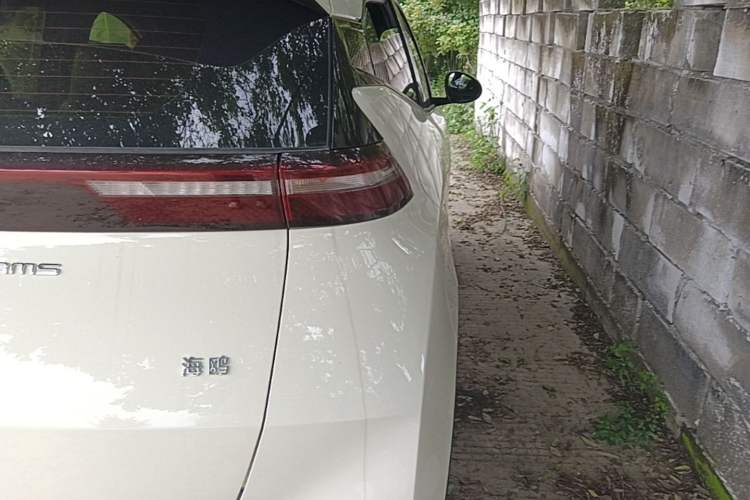 Used BYD Seagull 2024 Honor Edition 405km Flying Version Right Rear Taillight