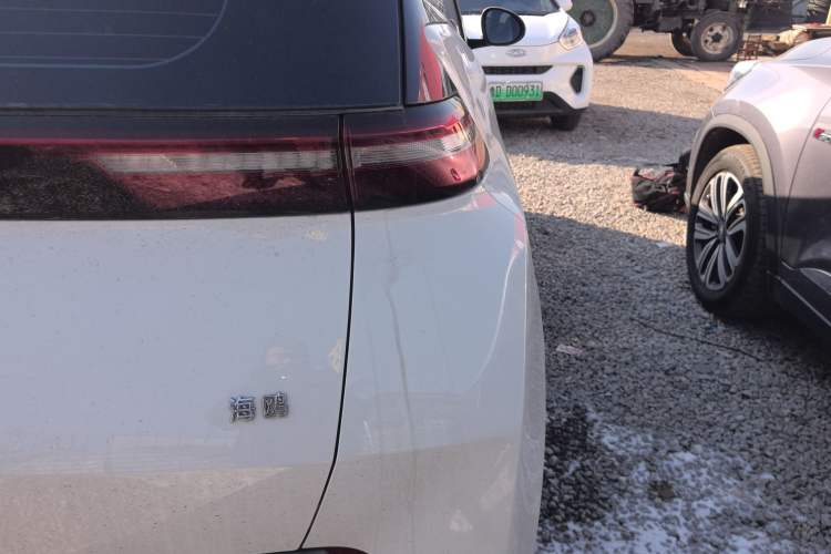 Used BYD Seagull 2024 Honor Edition 305km Dynamic Version Right Rear Taillight
