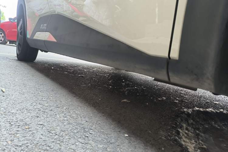 Used BYD Seagull 2024 Honor Edition 305km Dynamic Version Right Side Sill