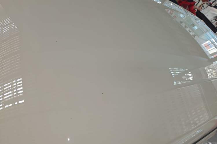 Used BYD Seagull 2024 Honor Edition 305km Dynamic Version Roof