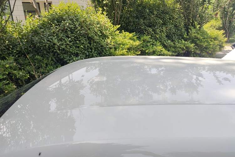 Used BYD Seagull 2024 Honor Edition 305km Dynamic Version Roof