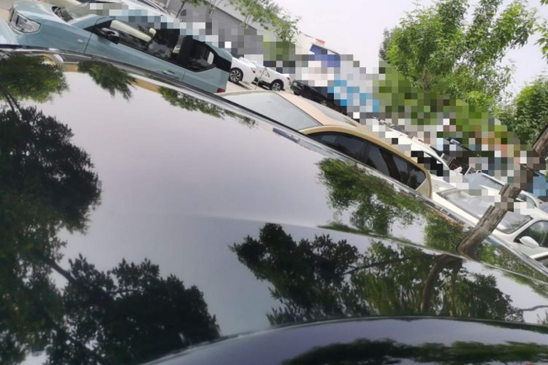 Used BYD Seagull 2024 Honor Edition 305km Freedom Version Roof