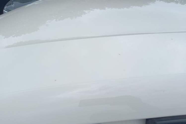 Used BYD Seagull 2024 Honor Edition 305km Dynamic Version Roof