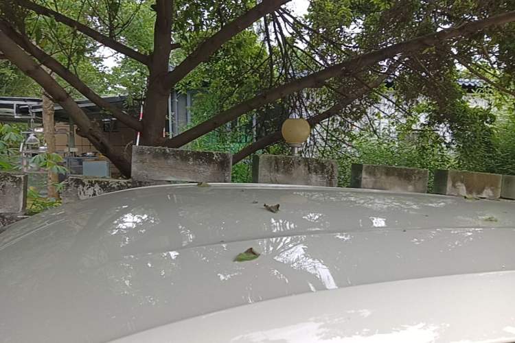 Used BYD Seagull 2024 Honor Edition 405km Flying Version Roof