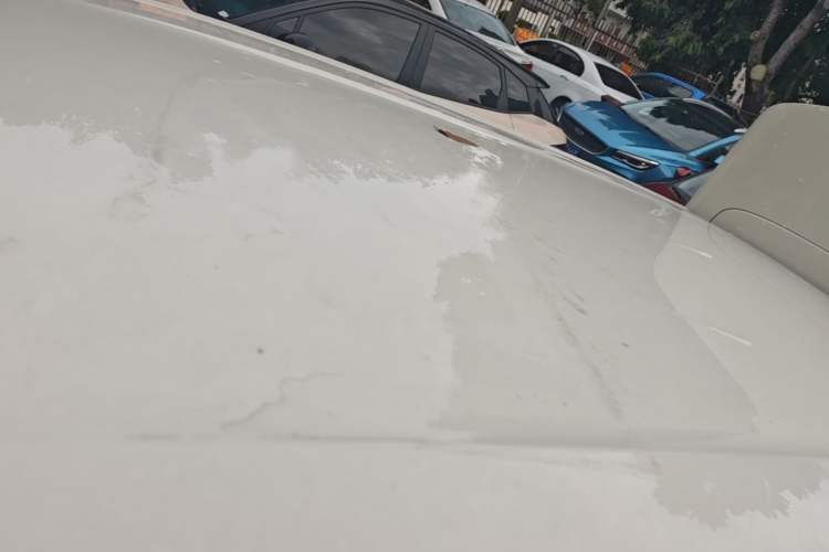 Used BYD Seagull 2024 Honor Edition 305km Dynamic Version Roof