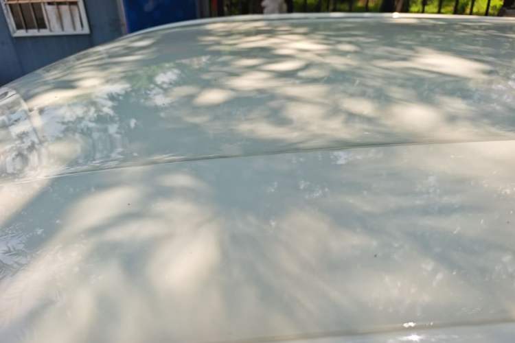 Used BYD Seagull 2024 Honor Edition 305km Dynamic Version Roof