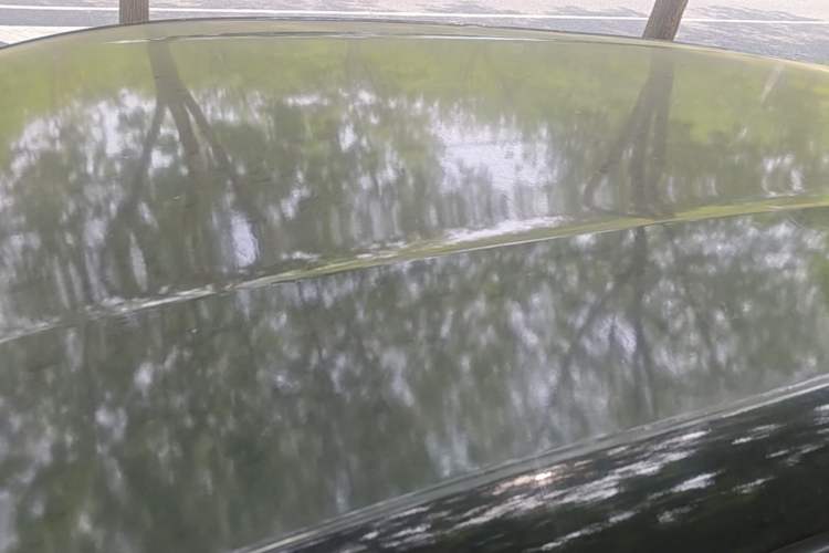 Used BYD Seagull 2024 Honor Edition 305km Freedom Version Roof