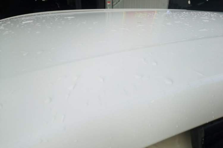 Used BYD Seagull 2024 Honor Edition 305km Dynamic Version Roof