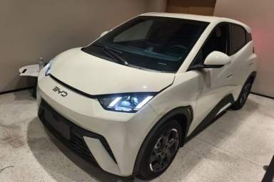 Used BYD Seagull 2024 Honor Edition 405km Flying Version