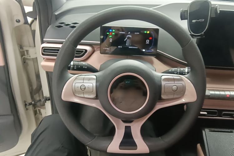 Used BYD Seagull 2024 Honor Edition 305km Dynamic Version Steering Wheel