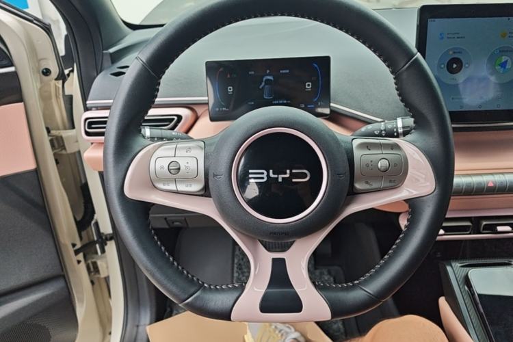 Used BYD Seagull 2024 Honor Edition 305km Freedom Version Steering Wheel