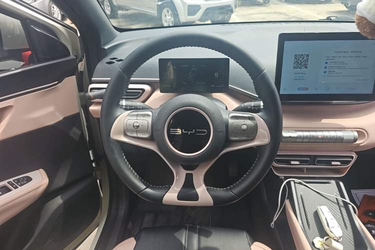 Used BYD Seagull 2024 Honor Edition 305km Freedom Version Steering Wheel