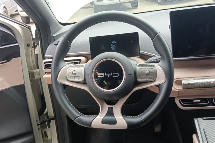 Used BYD Seagull 2024 Honor Edition 305km Freedom Version Steering Wheel