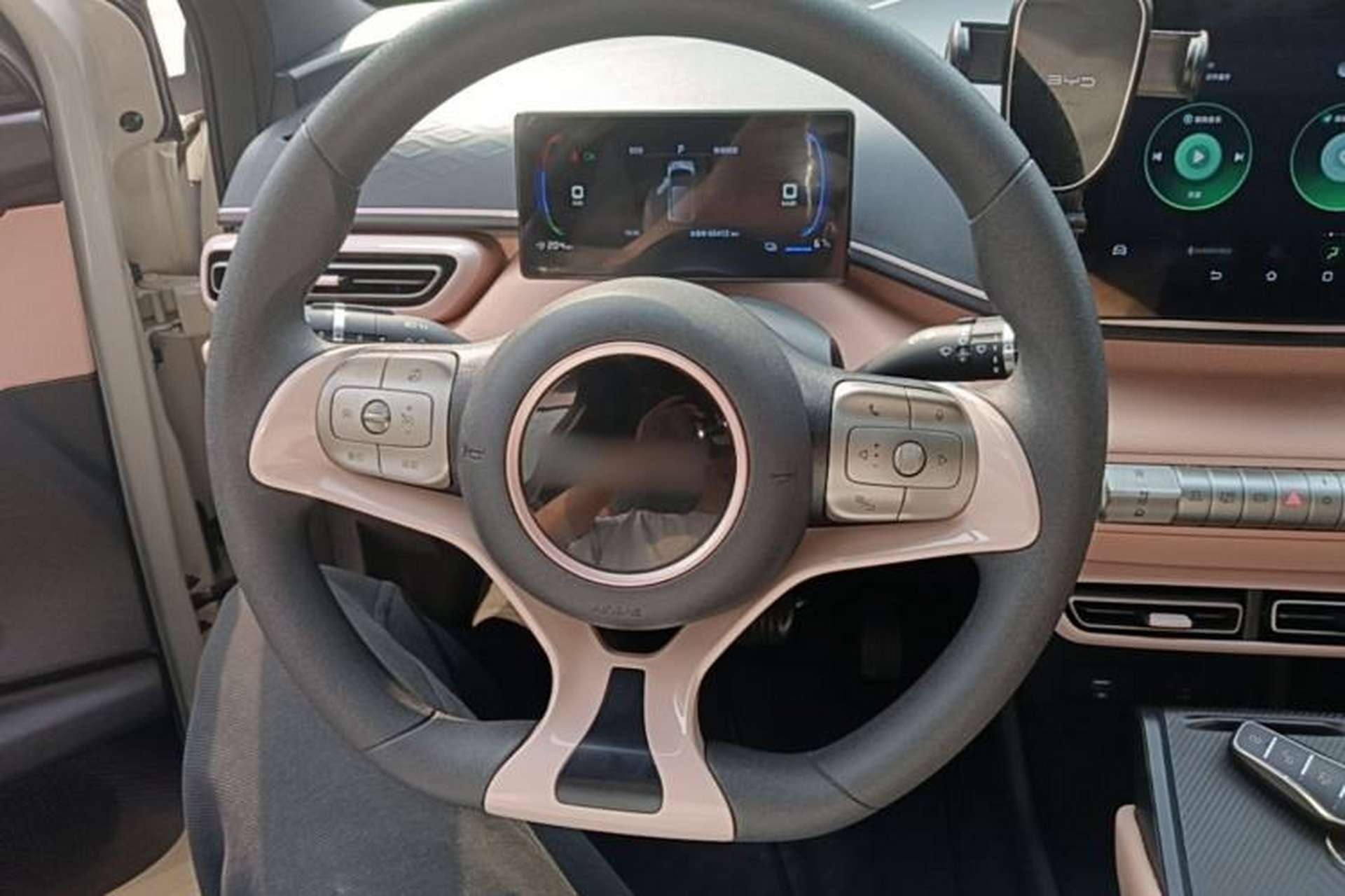 Used BYD Seagull 2024 Honor Edition 305km Dynamic Version Steering Wheel